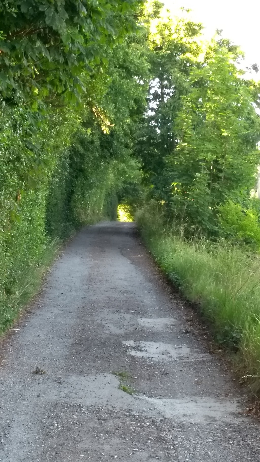 350 shades of&nbsp;green
