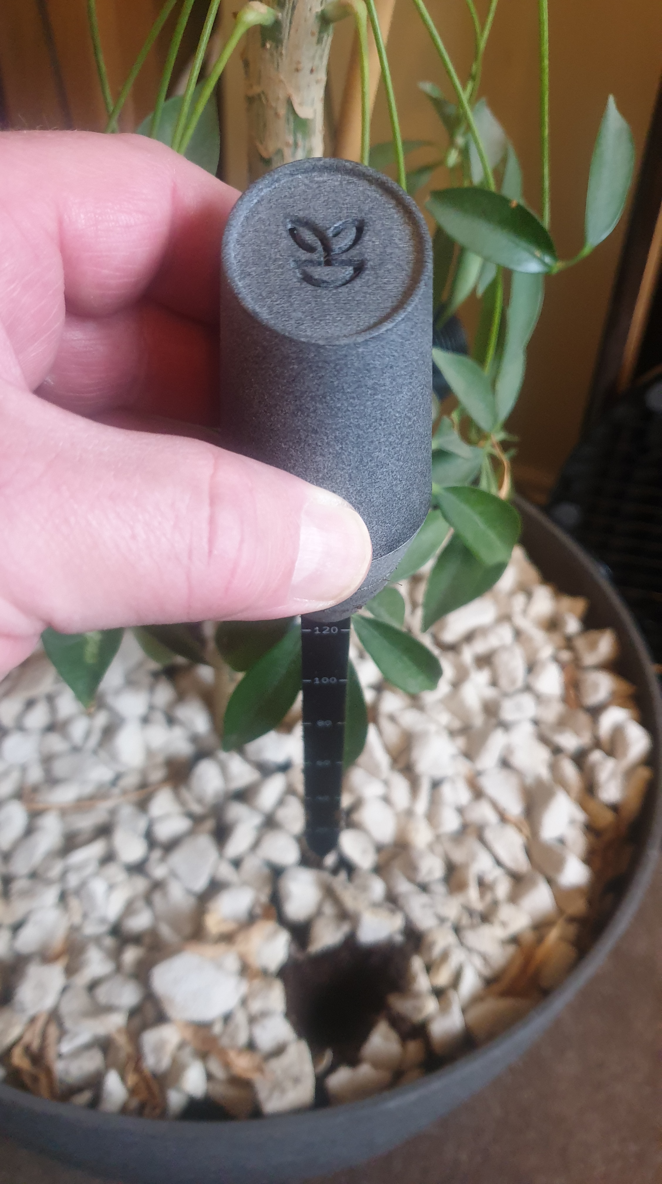 Making life easier for interior landscapers in 2021 with sensors and data