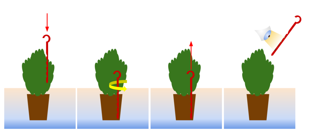 Diagram showing how to assess moisture in a rootball
