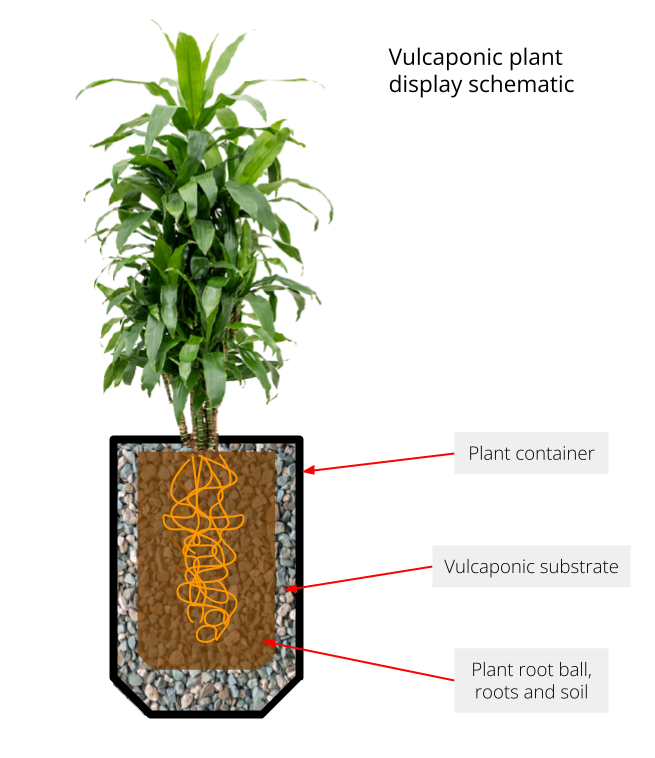 Schematic diagram of a vulcaponic plant display