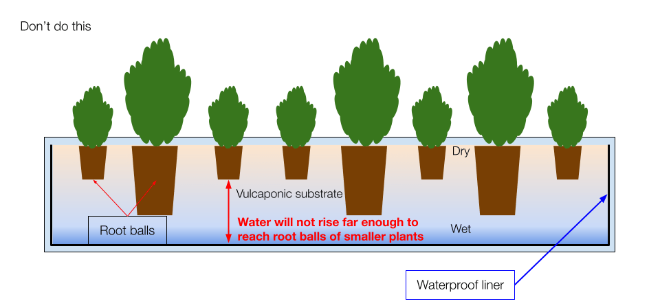 Diagram showing The problems associated with using different-sized plants in a mixed planter when using the vulcaponic system