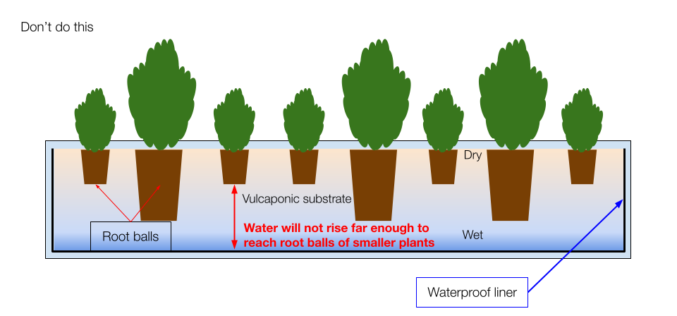 Diagram showing The problems associated with using different-sized plants in a mixed planter when using the vulcaponic system