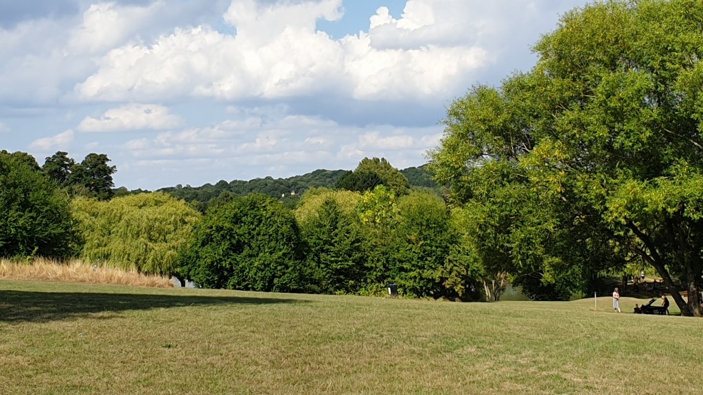 Image of a park in summertime