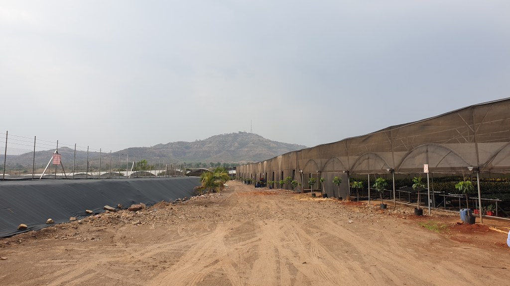 Commercial plant nursery near Pune, India.  A large reservoir has been constructed to store ever-diminishing supplies of water