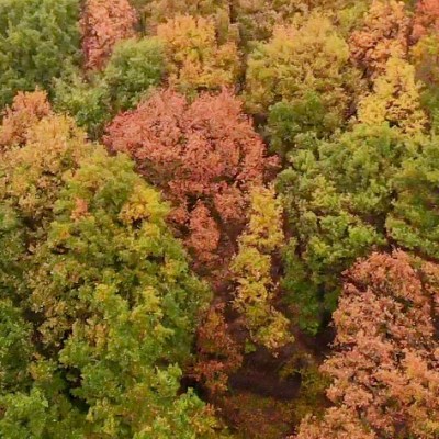 Autumn challenges for your&nbsp;houseplants