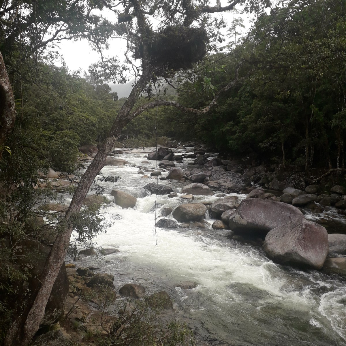 The sounds of falling water and the movement of shadows: the benefits of incorporating non-rhythmic sensory experiences into the built&nbsp;environment