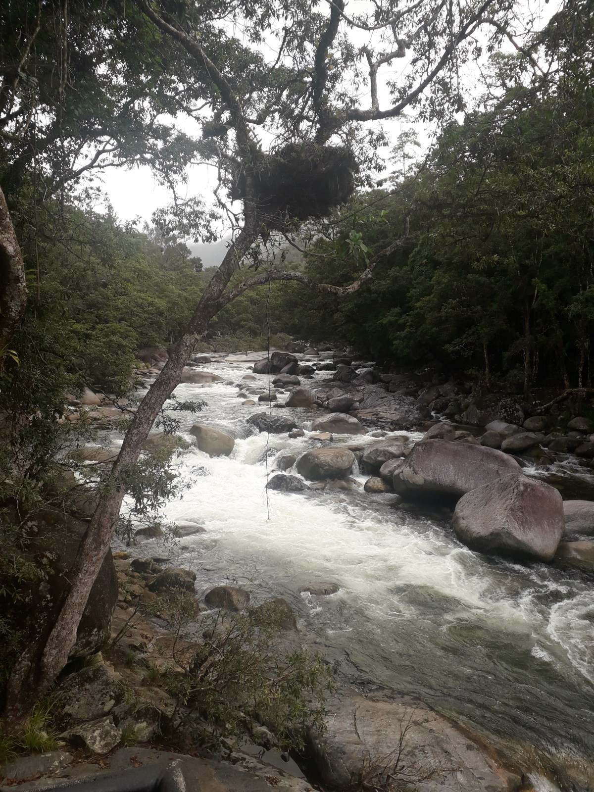 water cascading over rocks in a stream