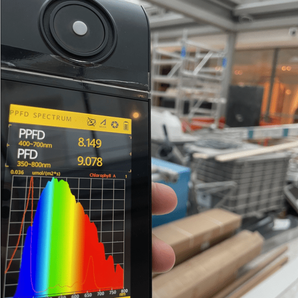 Get the light&nbsp;right