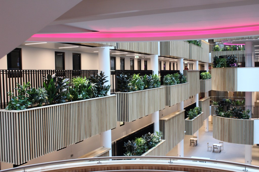 Photograph of the interior landscaping at Sheffield University installed by Urban Planters and winner of a Gold Award at the 2022 Plants@Work awards